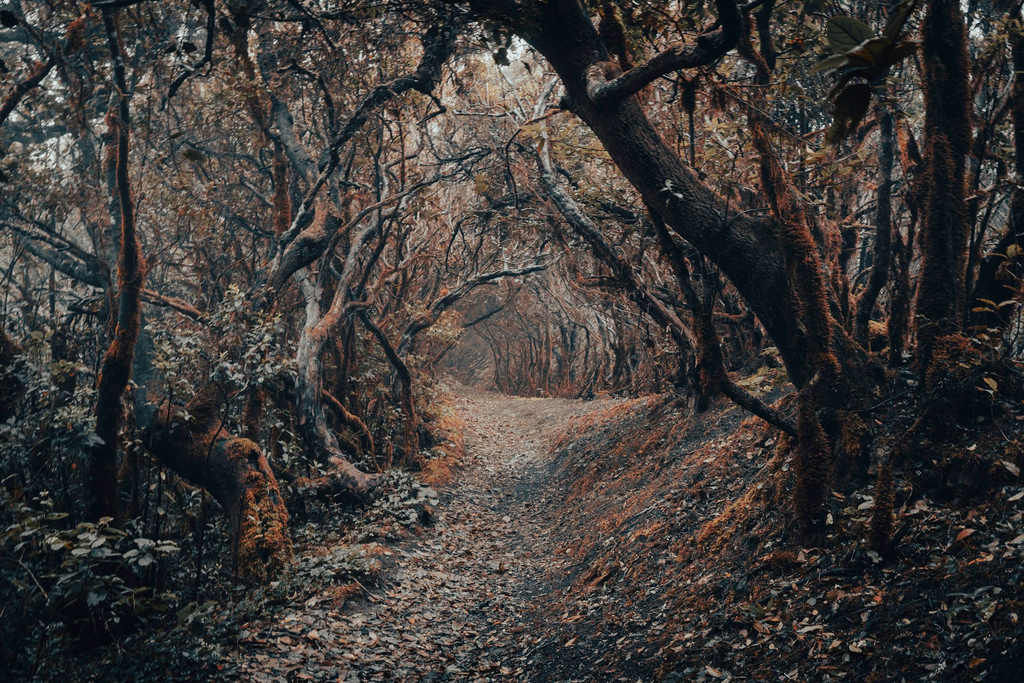 unsplash_IEeO25AwBAk_anaga.jpg.jpg.webp
