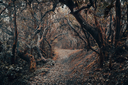 unsplash_IEeO25AwBAk_anaga.jpg.jpg.webp