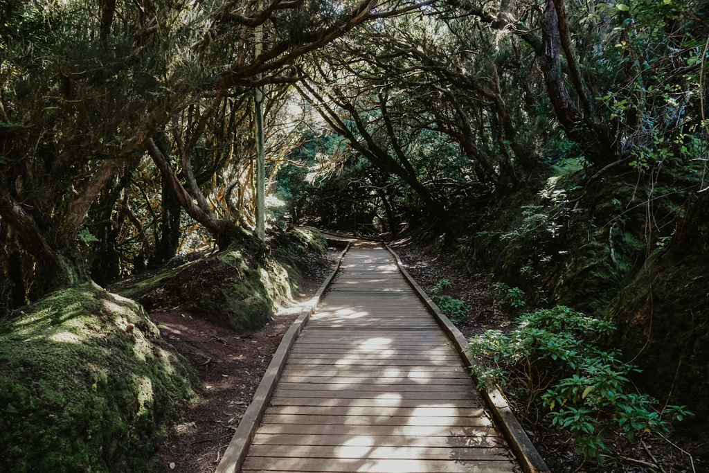 unsplash_y4A_IqeaJfU_anaga.webp