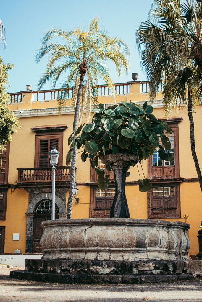 unsplash_WR1F2NZ5Fc8_garachico.jpg.jpg.jpg.jpg.jpg.webp