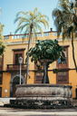 unsplash_WR1F2NZ5Fc8_garachico.jpg.jpg.jpg.jpg.jpg.webp