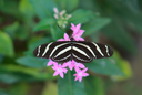 unsplash_6egHAR_nzjg_garachico.jpg.jpg.jpg.jpg.webp