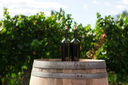 unsplash_Cj4CWKQllOM_tenerife wine.jpg.webp
