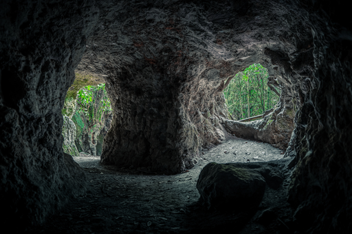 Bosque de Los Guardianes: Sendero entre Gigantes Verdes